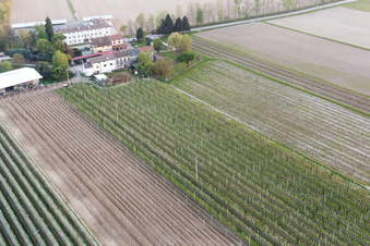 Domanins im Bundesland Friaul-Julisch Venetien, Italien von oben