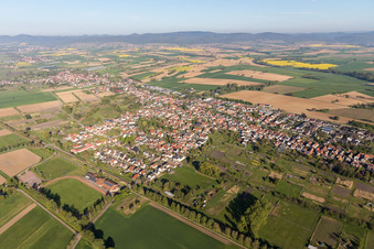 Dorf - Ansicht am Rande von landwirtschaftlichen Feldern und Nutzflächen in Steinfeld im Bundesland Rheinland-Pfalz, Deutschland