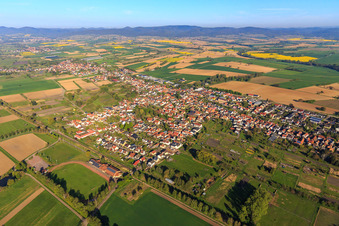 Ortsansicht aus Osten in Steinfeld im Bundesland Rheinland-Pfalz, Deutschland