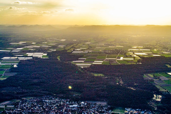 Ortsansicht von Osten in Harthausen im Bundesland Rheinland-Pfalz, Deutschland