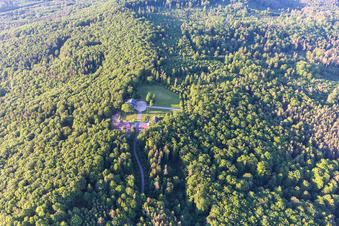 Luftbild von Gehöft im Wald in Abtswind im Bundesland Bayern, Deutschland