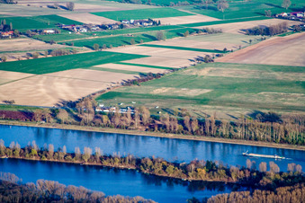 Luftbild von Flugplatz Herrenteich in Hockenheim im Bundesland Baden-Württemberg, Deutschland