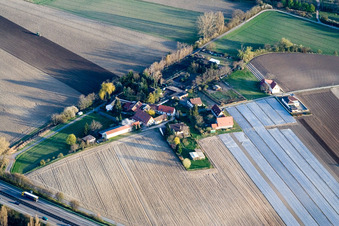 Spitzenrheinhof mit Hundzucht corgies-aus-der-Pfalz und Falknerei Birds of Prey in Speyer im Bundesland Rheinland-Pfalz, Deutschland