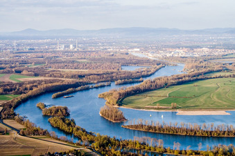 Auen am Uferbereich des Flußverlauf des Angelhofer Altrhein in Otterstadt im Bundesland Rheinland-Pfalz, Deutschland