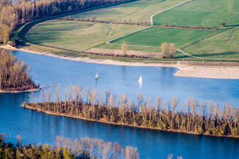 Segelboote am Otterstädter Altrhein in Otterstadt im Bundesland Rheinland-Pfalz, Deutschland
