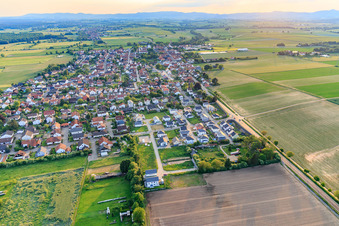 Luftbild von Dorfansicht am Abend aus Osten in Minfeld im Bundesland Rheinland-Pfalz, Deutschland
