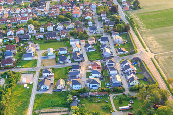Im Holderbusch aus Osten in Minfeld im Bundesland Rheinland-Pfalz, Deutschland