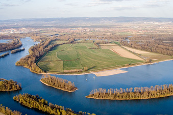 Koller-Insel am Ufer des Flußverlaufes Koller See und Otterstädter Altrhein in Otterstadt im Bundesland Rheinland-Pfalz, Deutschland