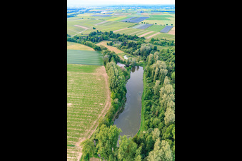 Weiher des ASV Klares Wasser Inshein am Quodbach in Insheim im Bundesland Rheinland-Pfalz, Deutschland