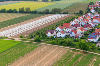 Unteres Rappenfeld im Ortsteil Mörlheim in Landau in der Pfalz im Bundesland Rheinland-Pfalz, Deutschland