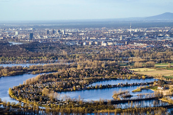 Seen und Uferbereiche mit Campingplatz und Wochenendhaussiedlung des Naherholungsgebiets Blaue Adria im Ortsteil Riedsiedlung in Altrip im Bundesland Rheinland-Pfalz, Deutschland