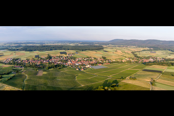 Panorama Perspektive Dorf - Ansicht am Rande von landwirtschaftlichen Feldern und Nutzflächen in Steinseltz in Grand Est im Bundesland Bas-Rhin, Frankreich