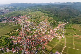 Luftbild von Dorf - Ansicht am Rande von Weinbergen und Wald in Rechtenbach in Schweigen-Rechtenbach im Bundesland Rheinland-Pfalz, Deutschland