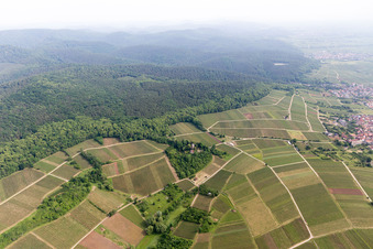 Schrägluftbild von Chateau Saint Paul auf dem Sonnenberg in Wissembourg im Bundesland Bas-Rhin, Frankreich