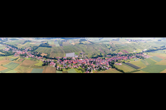 Luftbild von Panorama Perspektive Dorf - Ansicht am Rande von landwirtschaftlichen Feldern und Nutzflächen in Steinseltz in Grand Est im Bundesland Bas-Rhin, Frankreich