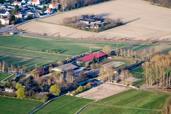 Reitclub Altrip eV im Bundesland Rheinland-Pfalz, Deutschland