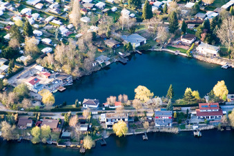 Schwanenweiher im Naherholungsgebiet Blaue Adria in Altrip im Bundesland Rheinland-Pfalz, Deutschland