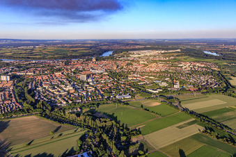 Stadtansicht am Abend von Westen in Speyer im Bundesland Rheinland-Pfalz, Deutschland