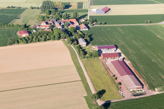 Seebach im Bundesland Bas-Rhin, Frankreich von einer Drohne aus