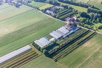 Dieter Schmeißer Schnittgrün in Vollmersweiler im Bundesland Rheinland-Pfalz, Deutschland