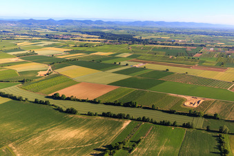 Baustelle des Windparks Freckenfeld der EnBW -für Windenergieanlage mit 6 Windrädern im Bundesland Rheinland-Pfalz, Deutschland