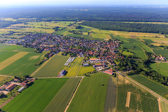 Dorfansicht aus Norden in Minfeld im Bundesland Rheinland-Pfalz, Deutschland