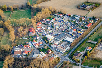 Im Ried in Altrip im Bundesland Rheinland-Pfalz, Deutschland