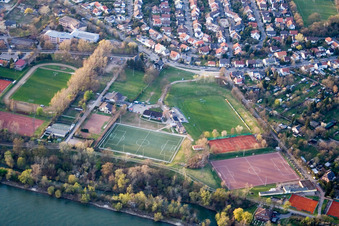 Luftbild von Sportanlagen VfL Kurpfalz im Ortsteil Neckarau in Mannheim im Bundesland Baden-Württemberg, Deutschland
