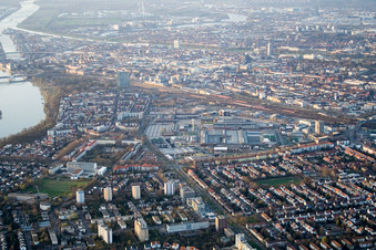 Luftbild von Niederfeld, Lindenhof in Mannheim im Bundesland Baden-Württemberg, Deutschland