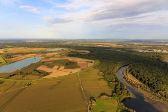 Polderdamm zwischen Altrhein südlich Jockgrim und Baggersee am Streitgraben im Bundesland Rheinland-Pfalz, Deutschland