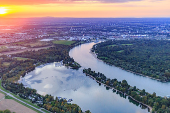 Schrägluftbild von Kiefweiher am Rhein bei Sonnenuntergang mit Sportboot-Club Ludwigshafen/ Rhein und  MCP Yacht Club und Restaurant Ludwigshafen im Ortsteil Rheingönheim in Ludwigshafen am Rhein im Bundesland Rheinland-Pfalz, Deutschland