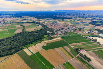 Ortsansicht aus Nordosten in Waldsee im Bundesland Rheinland-Pfalz, Deutschland