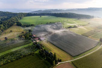 Obstplantagen unter Schutznetzen im Ortsteil Güttingen in Radolfzell am Bodensee im Bundesland Baden-Württemberg, Deutschland