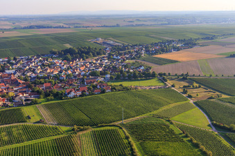 Dorfansicht zwischen Feldern und Weinbergen aus Nordosten in Bechtheim im Bundesland Rheinland-Pfalz, Deutschland