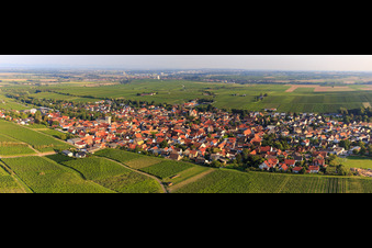 Dorfpanorama zwischen Weinbergen aus Norden in Bechtheim im Bundesland Rheinland-Pfalz, Deutschland