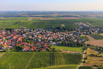 Luftbild von Sportplatz des TSG 1883 Bechtheim im Bundesland Rheinland-Pfalz, Deutschland