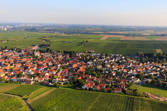 Dorfansicht zwischen Weinbergen aus Norden in Bechtheim im Bundesland Rheinland-Pfalz, Deutschland