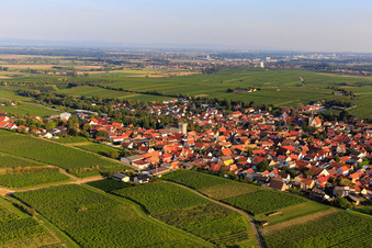 Luftaufnahme von Dorfansicht zwischen Weinbergen aus Norden in Bechtheim im Bundesland Rheinland-Pfalz, Deutschland