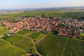 Dorfansicht zwischen Weinbergen aus Norden in Bechtheim im Bundesland Rheinland-Pfalz, Deutschland von oben