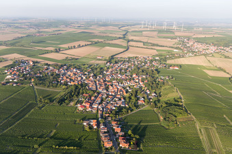 Ortsteil Dittelsheim in Dittelsheim-Heßloch im Bundesland Rheinland-Pfalz, Deutschland von oben