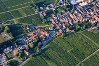 Sägewerk Philipp Pfirrmann Söhne e.K in Böchingen im Bundesland Rheinland-Pfalz, Deutschland