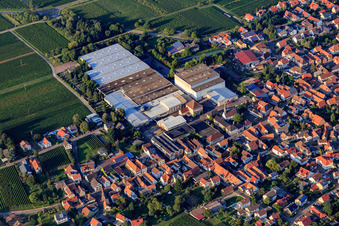 Sektkellerei Schloss Wachenheim AG und Böchinger Schloss in Böchingen im Bundesland Rheinland-Pfalz, Deutschland