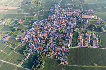 Drohnenaufname von Ortsteil Nußdorf in Landau in der Pfalz im Bundesland Rheinland-Pfalz, Deutschland