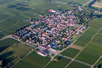 Walsheim im Bundesland Rheinland-Pfalz, Deutschland