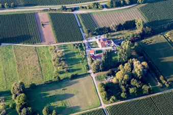 Luftbild von Walsheim im Bundesland Rheinland-Pfalz, Deutschland