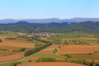 Hecken am Otterbach in Oberotterbach im Bundesland Rheinland-Pfalz, Deutschland
