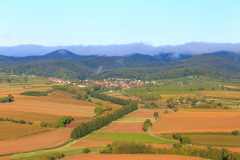 Luftbild von Hecken am Otterbach in Oberotterbach im Bundesland Rheinland-Pfalz, Deutschland