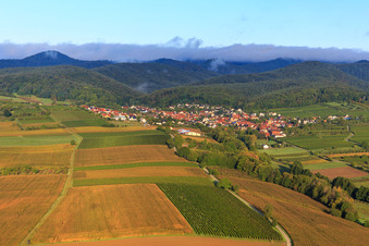 Weinberge und Felder am Otterbach in Oberotterbach im Bundesland Rheinland-Pfalz, Deutschland