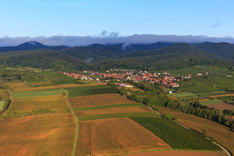 Luftbild von Weinberge und Felder am Otterbach in Oberotterbach im Bundesland Rheinland-Pfalz, Deutschland