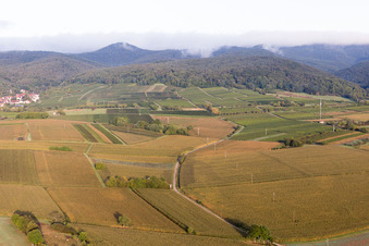 Ortsteil Rechtenbach in Schweigen-Rechtenbach im Bundesland Rheinland-Pfalz, Deutschland aus der Luft betrachtet